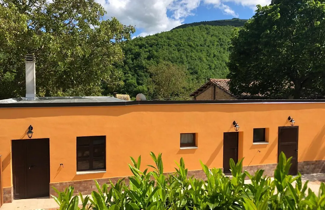 B&B Ollyfarm-1