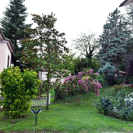 B&B Vetralla-3